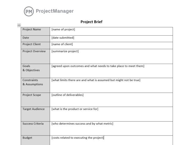 an example of a project brief
