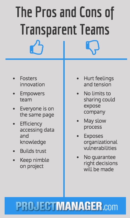 what's good and bad in having transparent teams