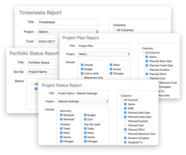 project reports including project plan, timesheets, project status report