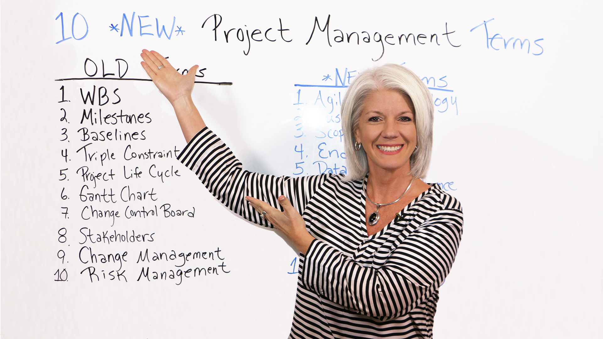 Project Management - Beginner- 1Training
