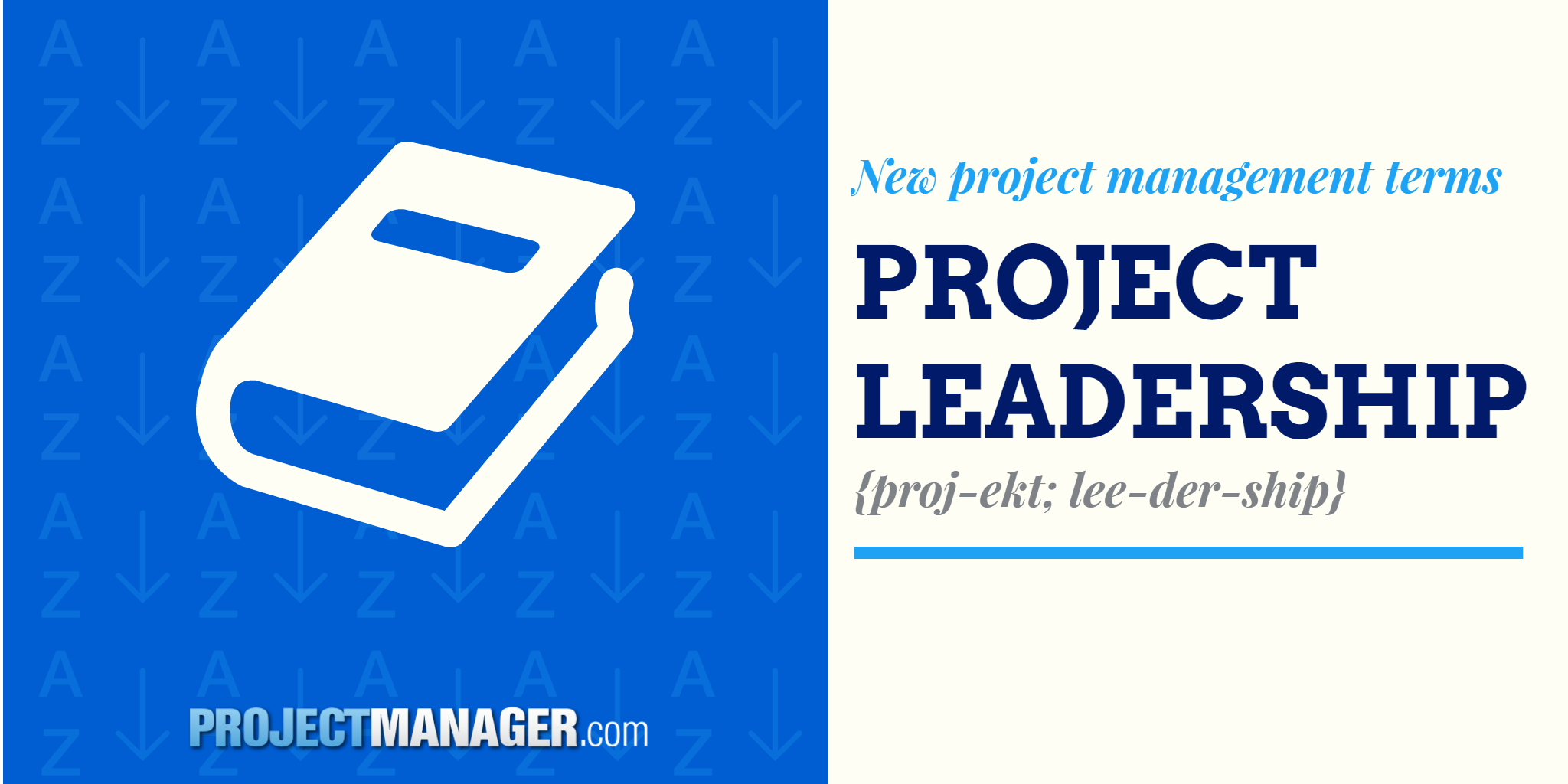 project leadership case study