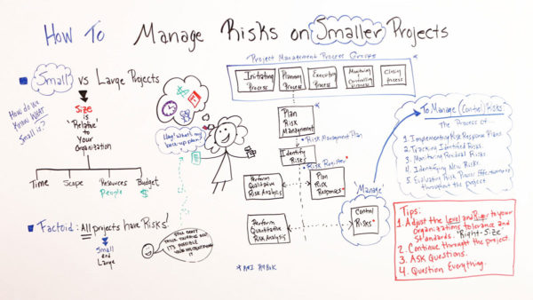 risk management on small projects