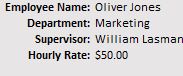 Employee name and admin information in timesheet template