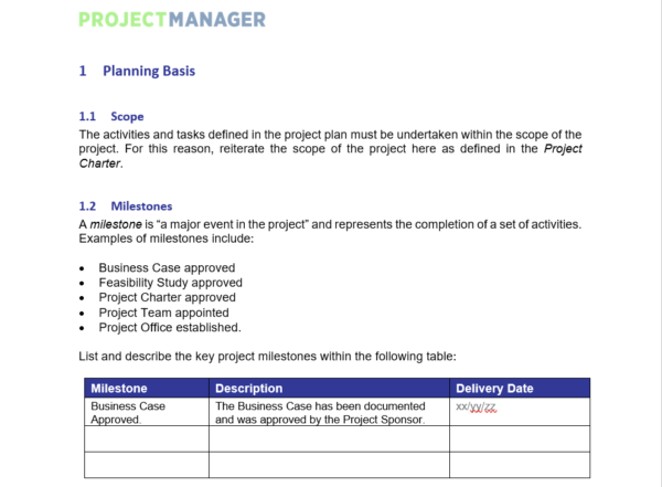 Project Execution Plan Template from www.projectmanager.com