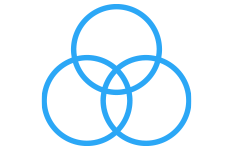 manage resources for IT projects