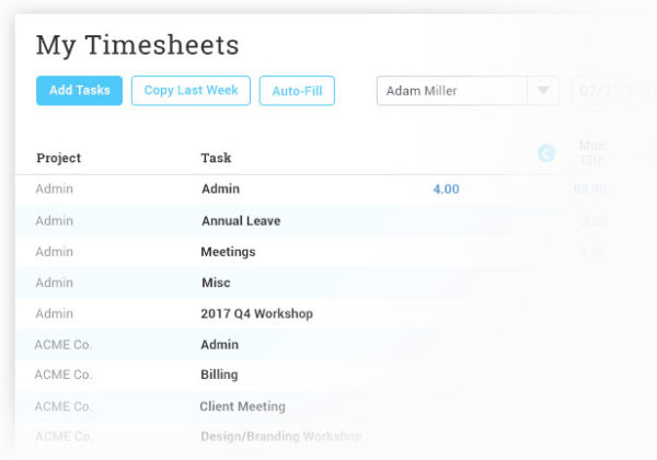 timesheets for IT projects