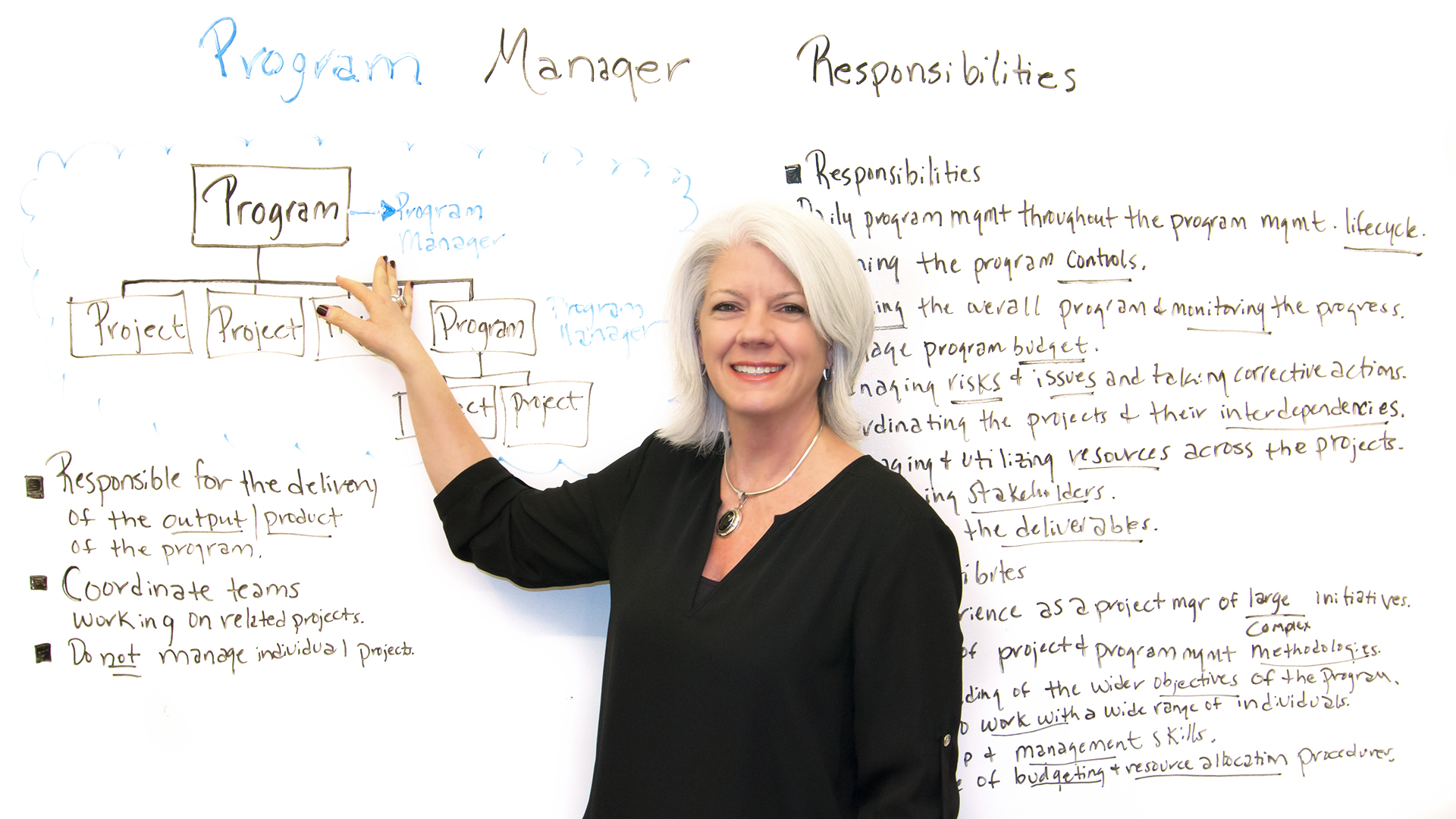 what is a program manager and what are they responsible program manager roles and responsibilities