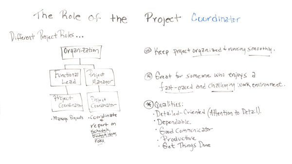 It Project Coordinator Job Description Sample