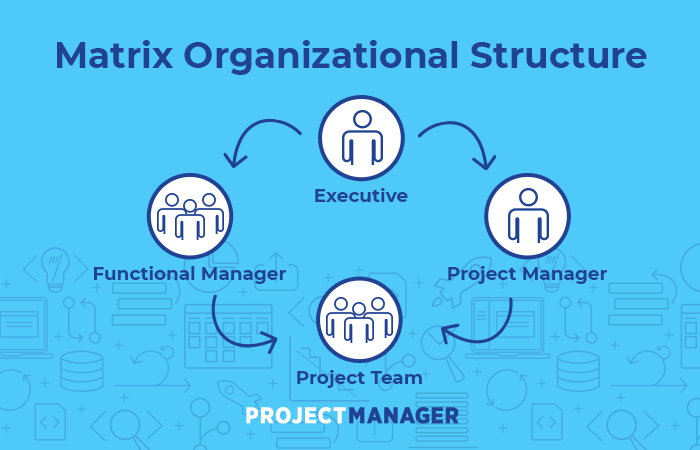 Types Of Matrix Organizational Structure
