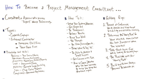what it takes to become a project management consultant
