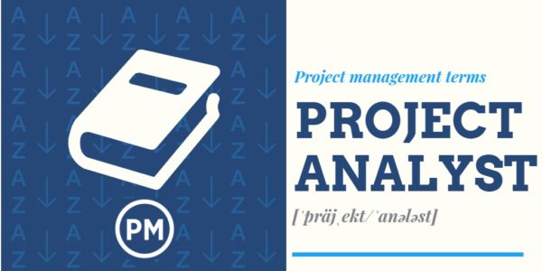 learn about what a project analyst is