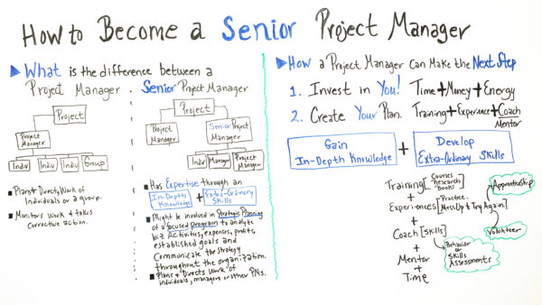 becoming a senior project manager