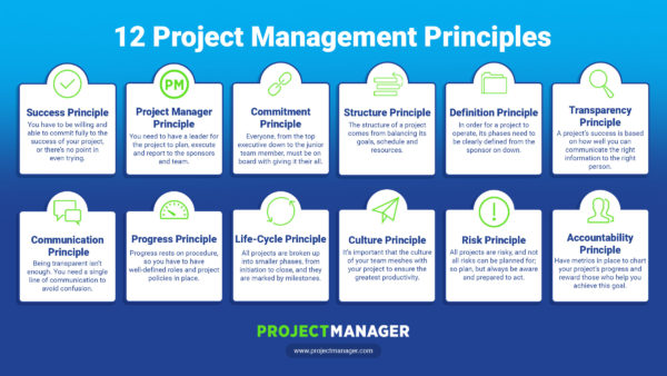 research and describe the principles of project management