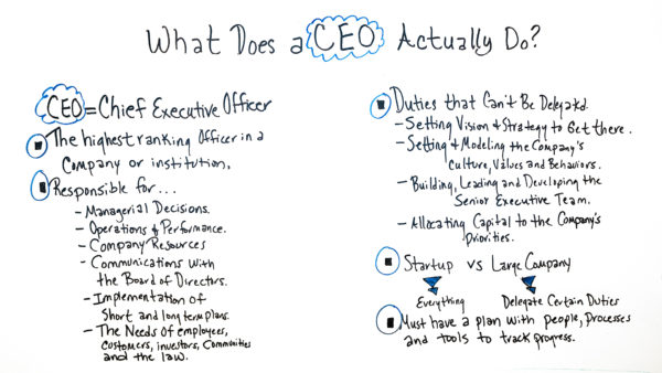 the duties of a ceo