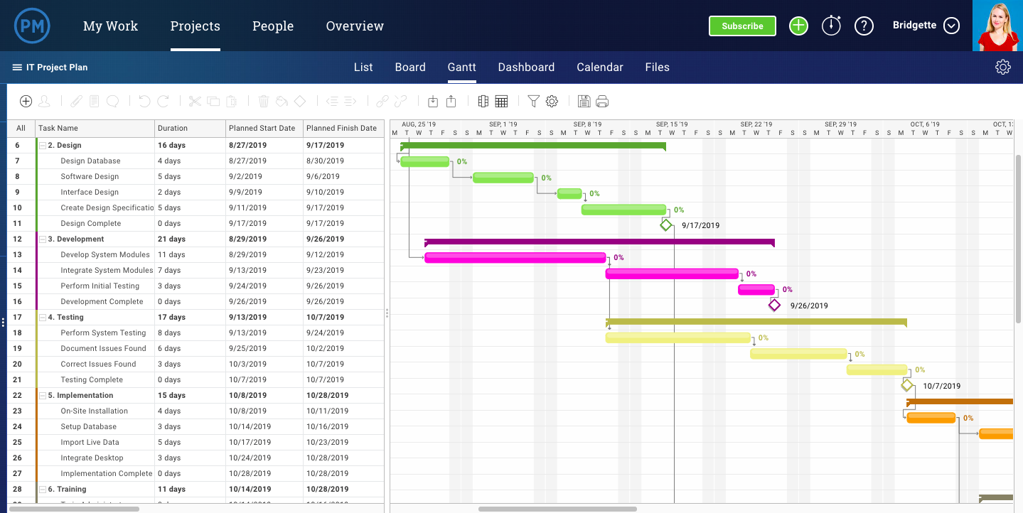 imported template to make a gantt chart