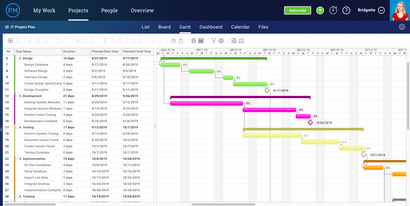 Excel Project Template from www.projectmanager.com