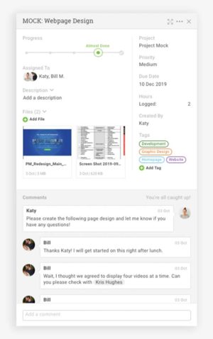Projectmanager.com inline task detail view with comments