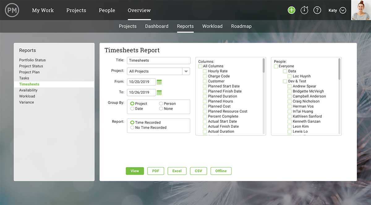 Timesheet report creation screen in Projectmanager.com