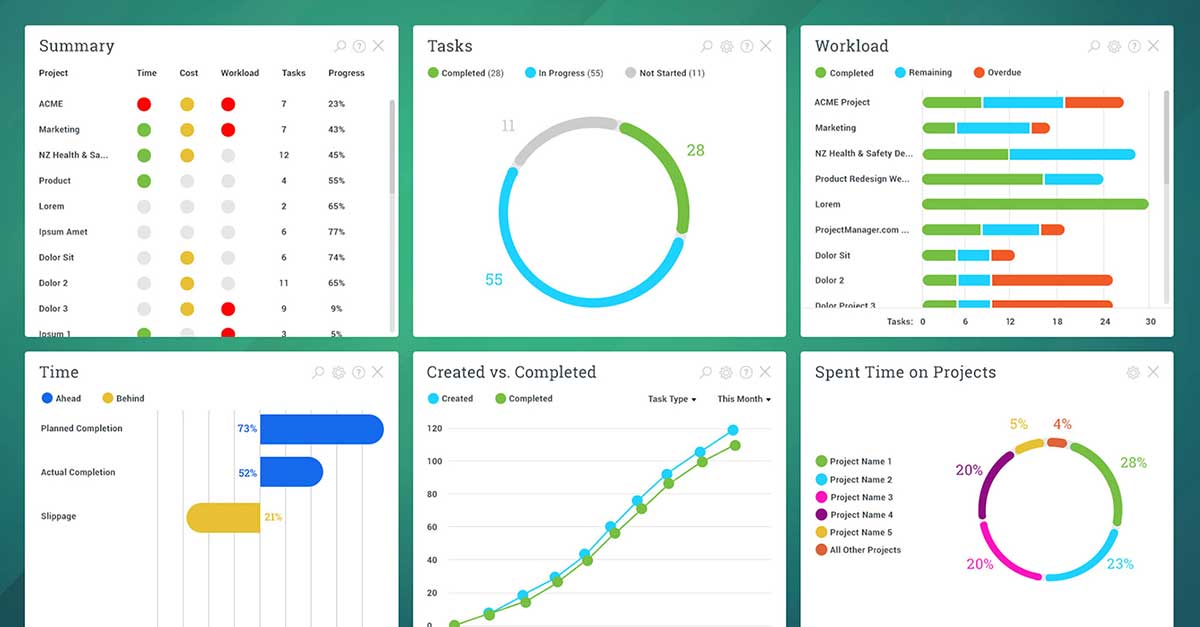 Portfolio level dashboard report in Projectmanager.com