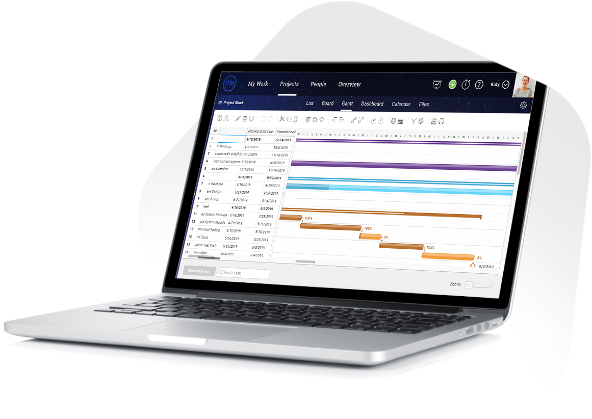 Print Gantt Chart From Sharepoint