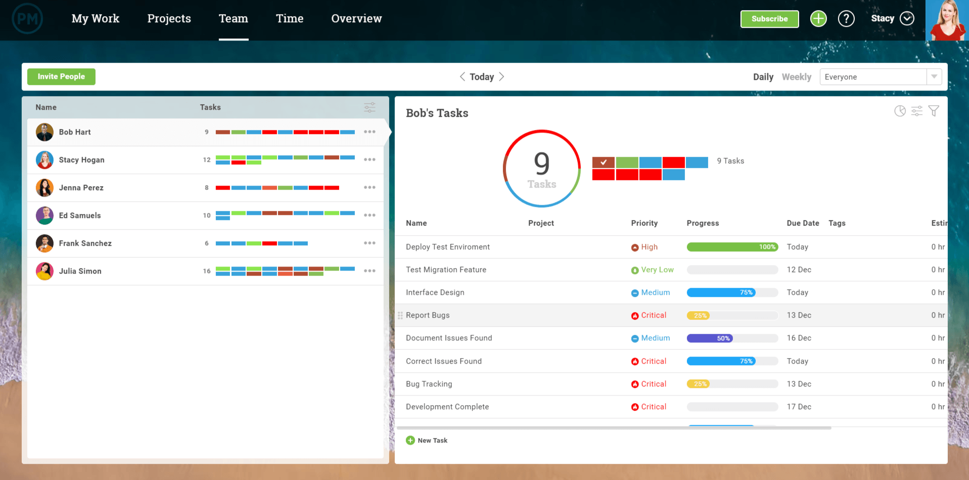 team feature screenshot in projectmanager.com