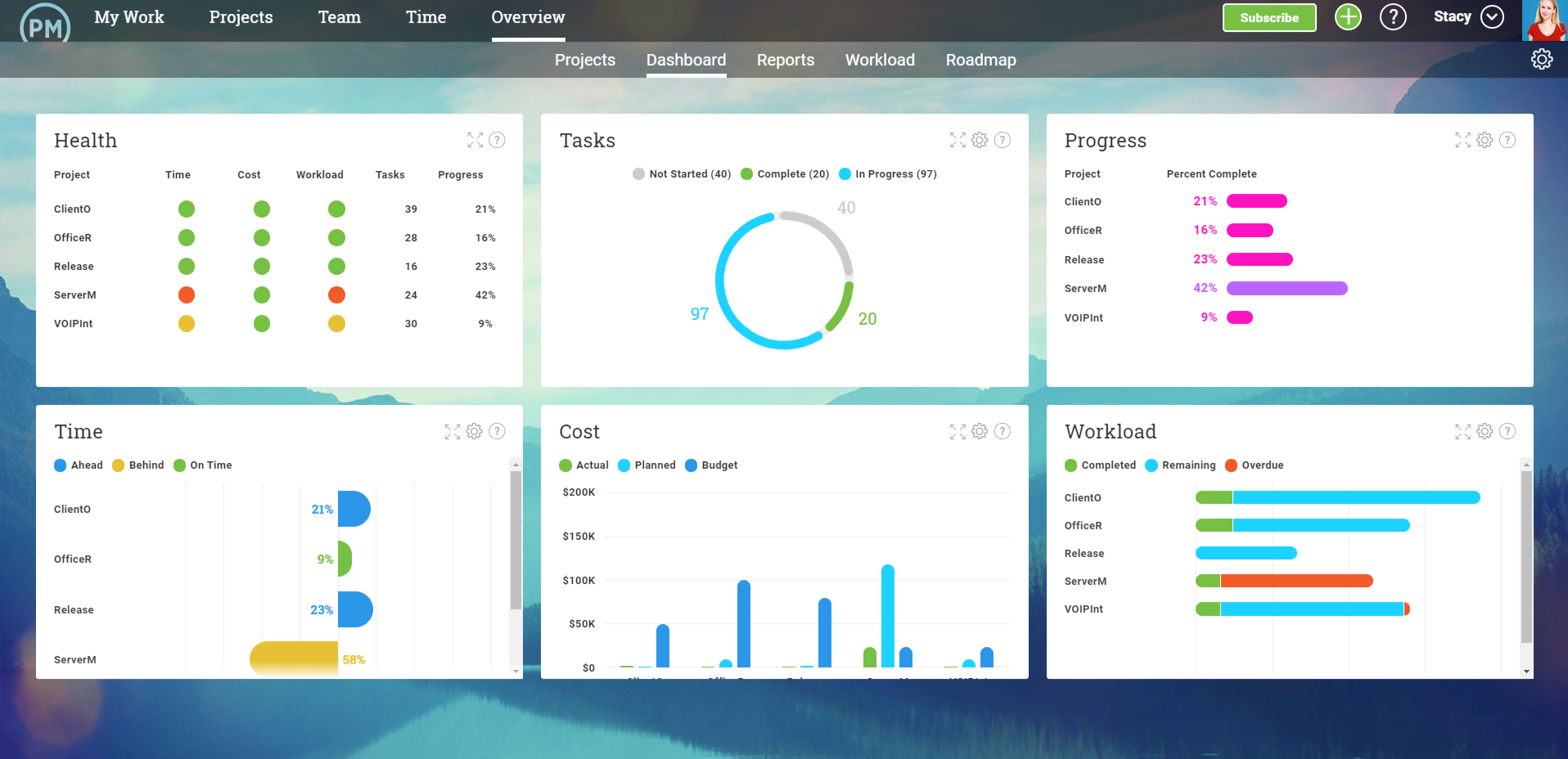 portfolio dashboard screenshot in ProjectManager.com