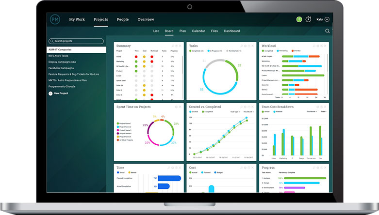 Realtime dashboard reporting in ProjectManager.com