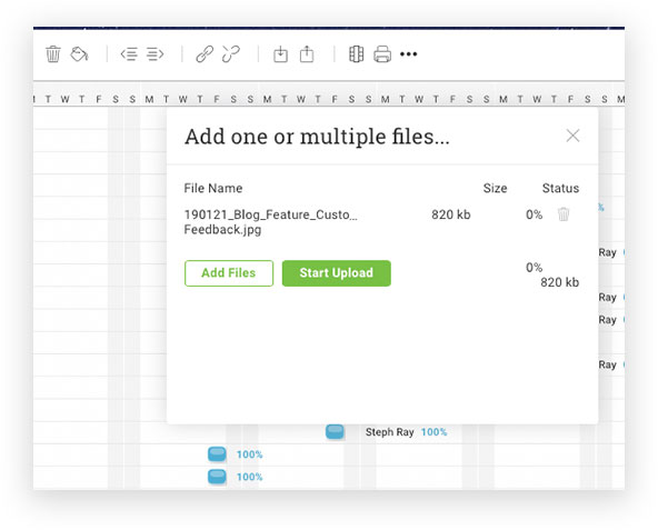 Gantt File Sharing