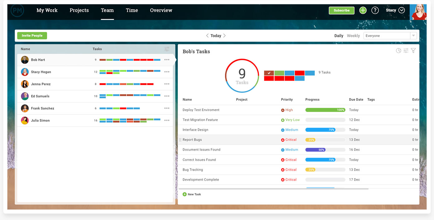 Manage Your Team's Tasks with ProjectManager.com