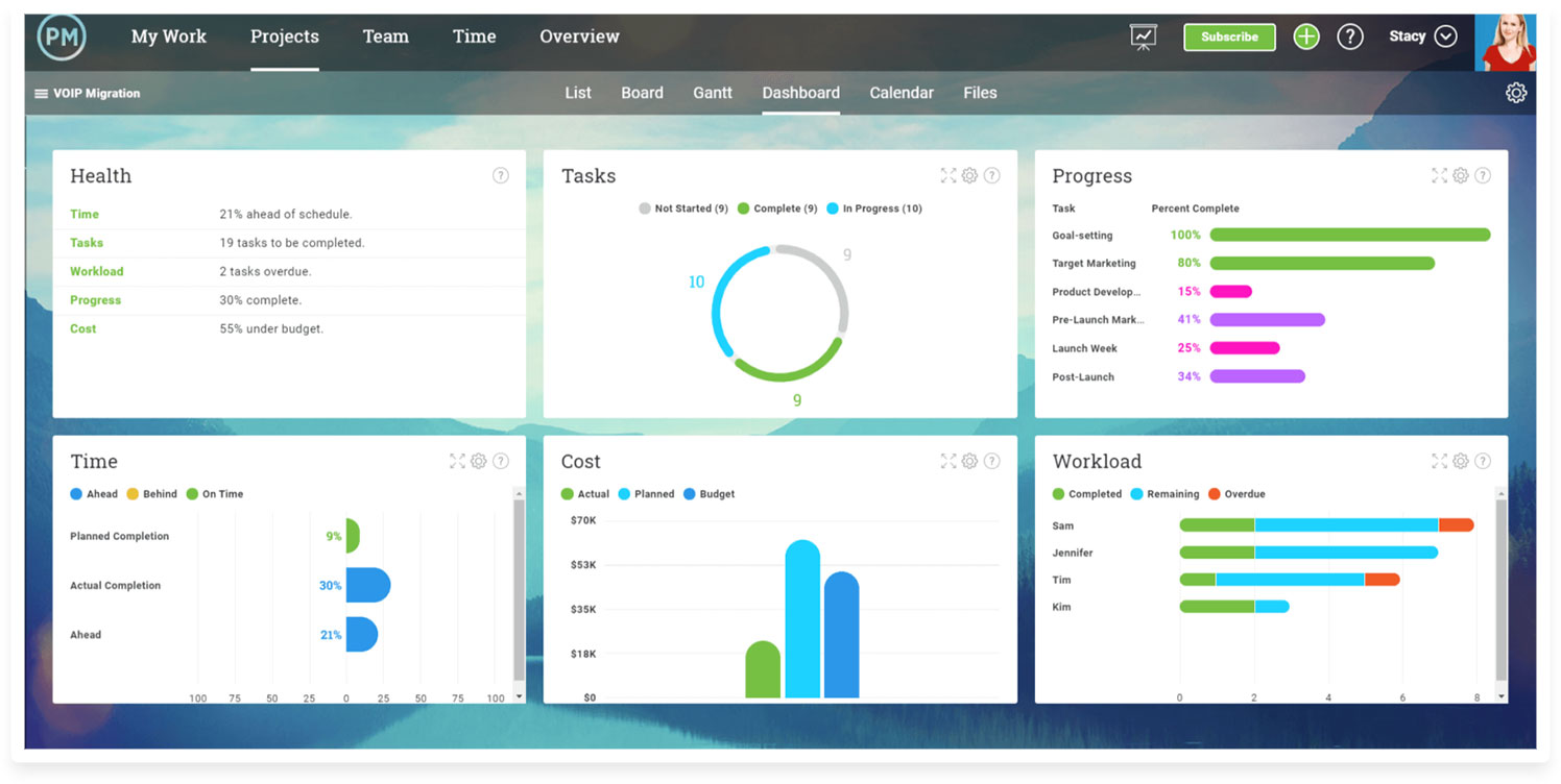 ProjectManager.com Dashboard Tracks Costs & Tasks In Real Time