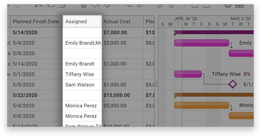 Team assignments ProjectManager.com