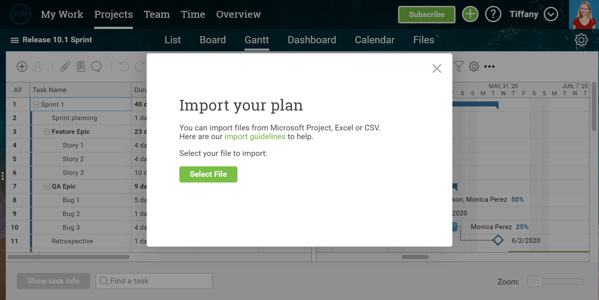 starting a project in projectmanager.com