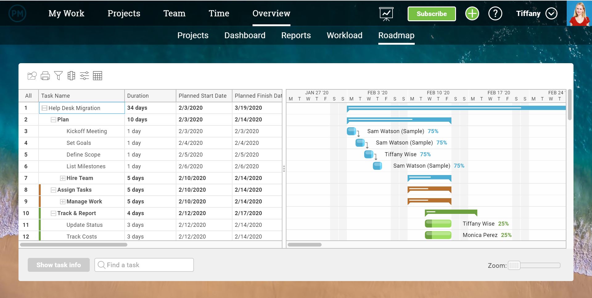 projectmanager.com portfolio roadmap
