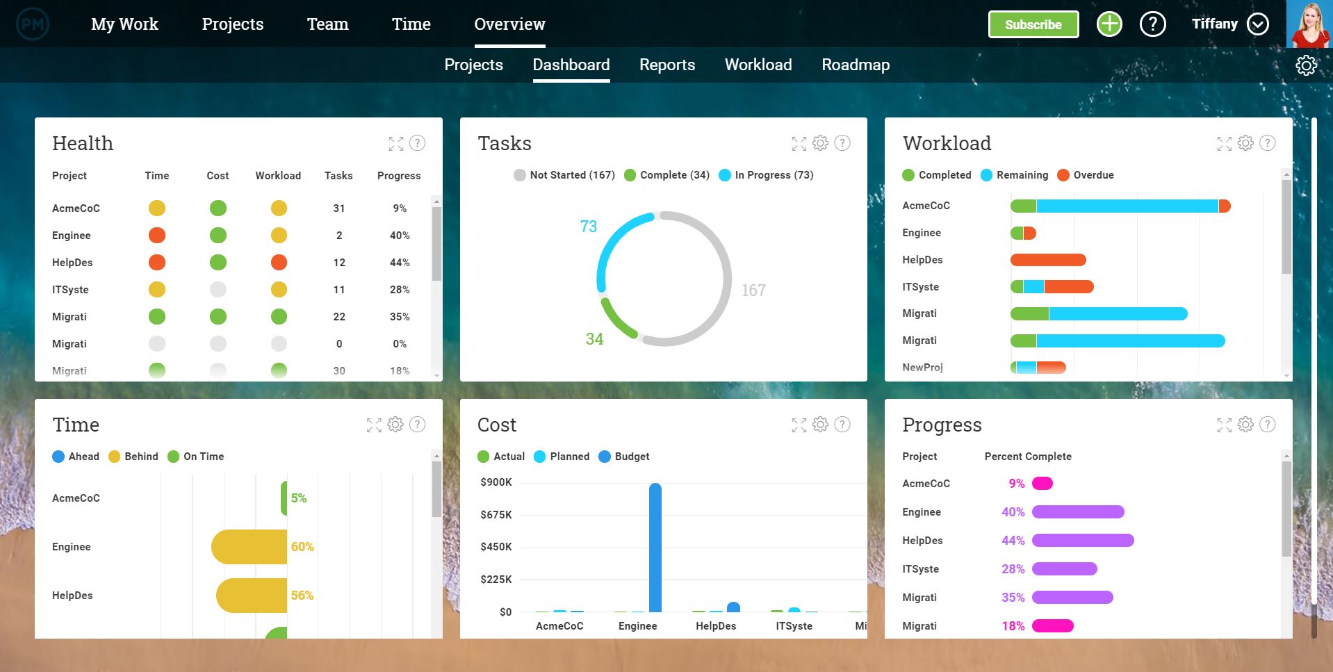 projectmanager.com portfolio view