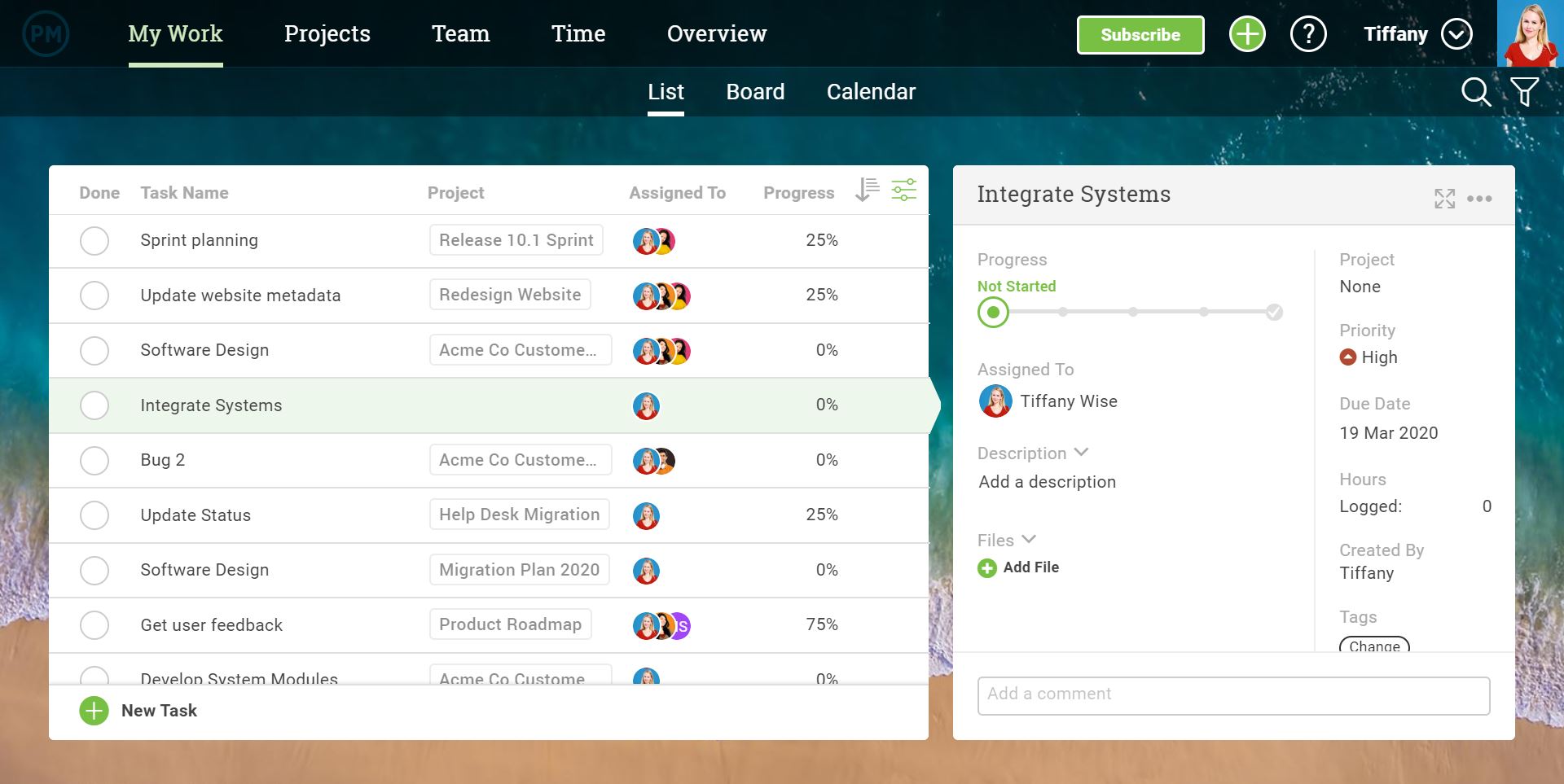 my work on ProjectManager.com