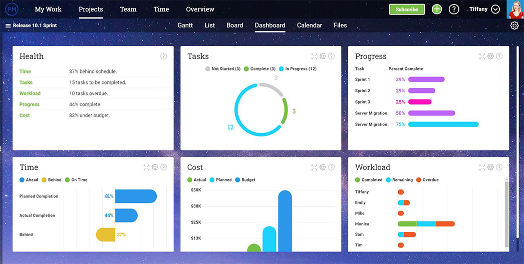 A screenshot of ProjectManager.com's dashboard, showing multiple key metrics on a project's health.