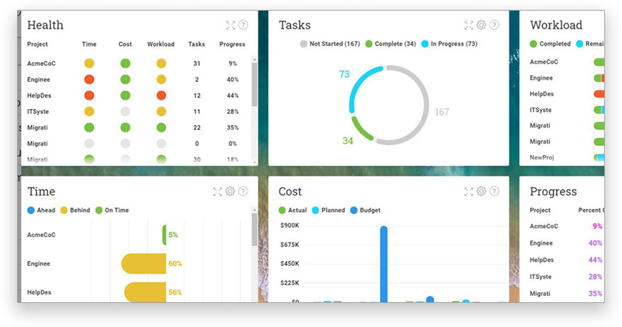 Real-time dashboard and reports from ProjectManager