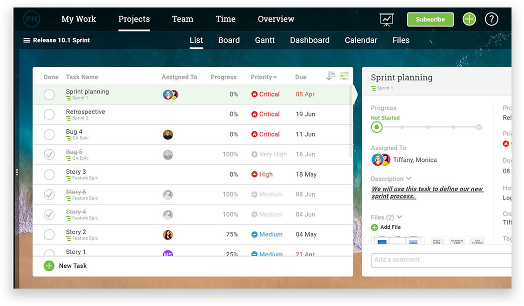 ProjectManager.com task lists
