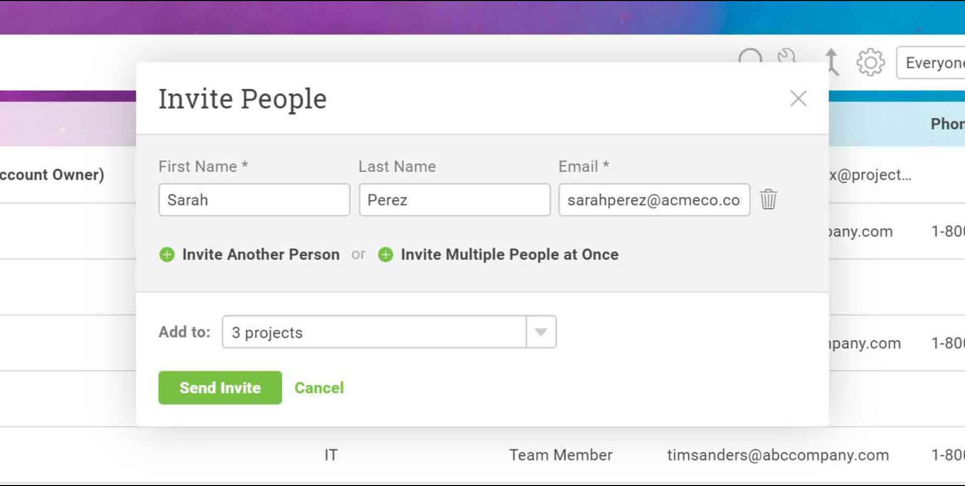 A screenshot of ProjectManager.com’s “Manage Users” interface, where people can be invited via email to the software.