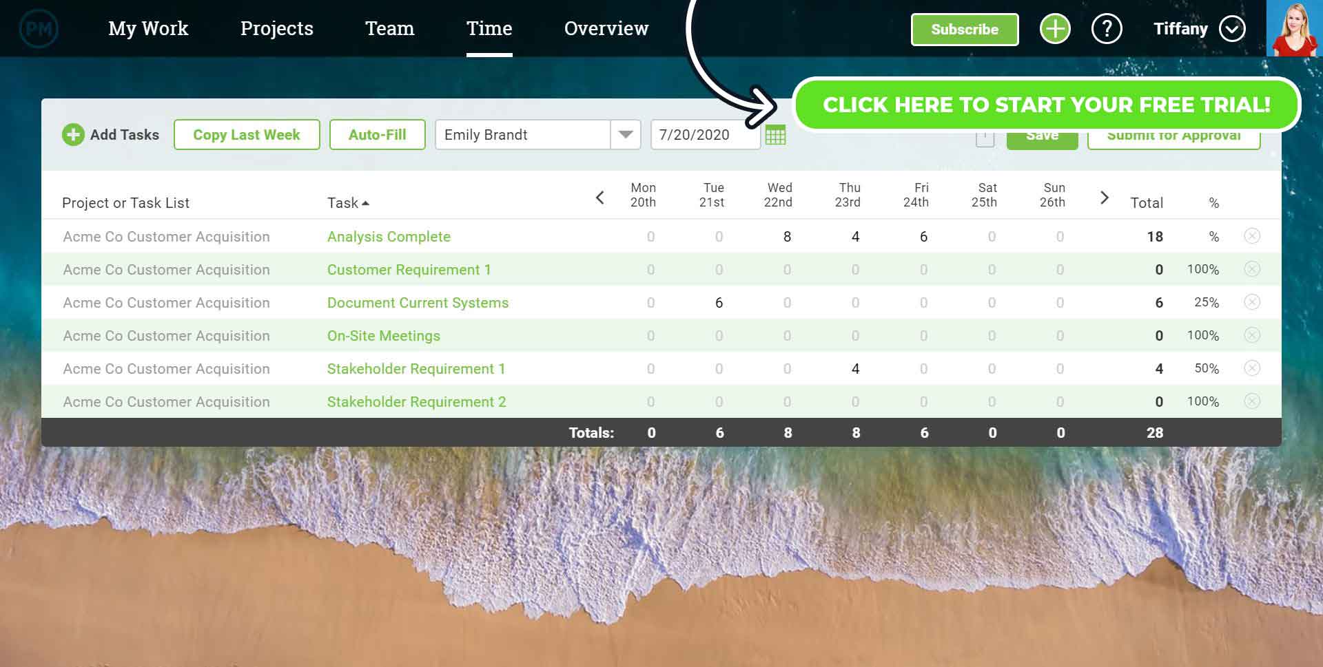 A screenshot of ProjectManager.com’s timesheet software interface, with a button superimposed on top that says “Click Here to Try the Timesheet Software.”