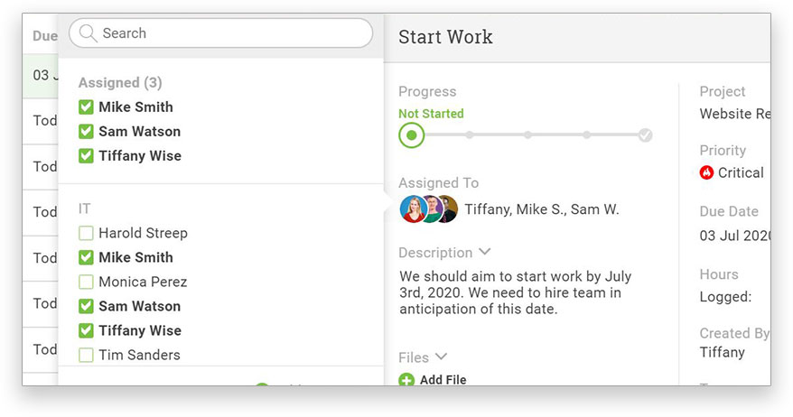 Assign team members to tasks with task management software