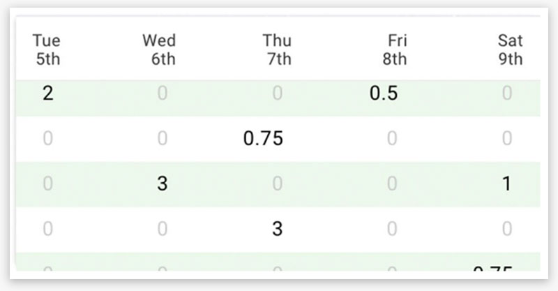 time tracking software with employee hours by day