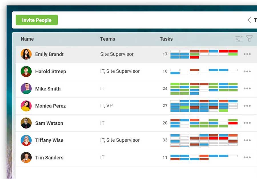 A screenshot of the team management page showing team members progress