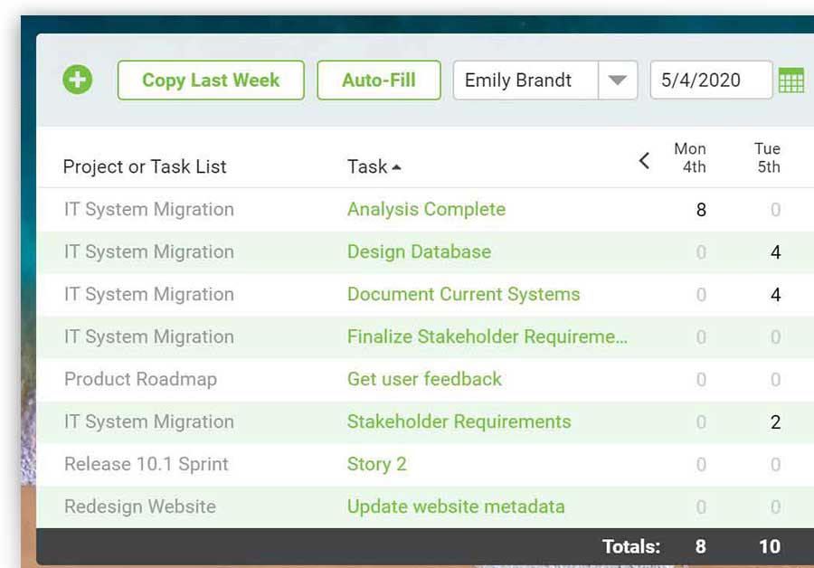 A screenshot of a timesheet in ProjectManager.com