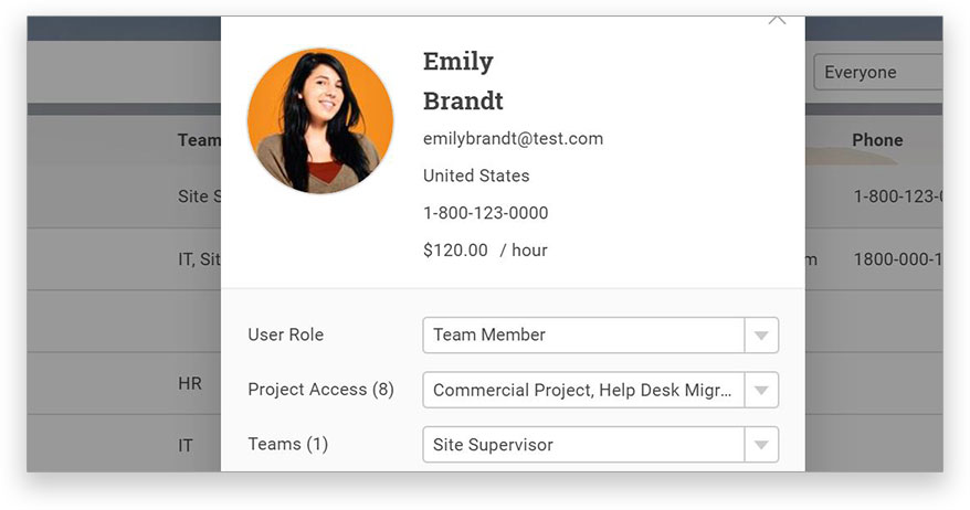 A screenshot of the Team member profile window, detailing their role, project, skills and more