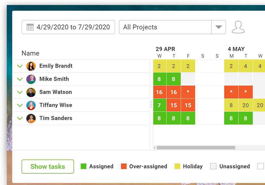 A screenshot of the workload page in ProjectManager.com