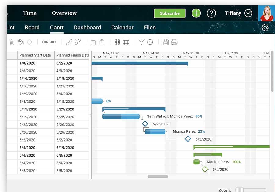 A screenshot of ProjectManager.com’s gantt chart
