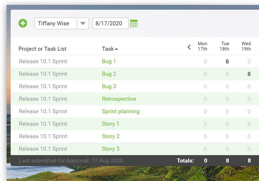 A screenshot of the time tracking page, showing time spent on projects