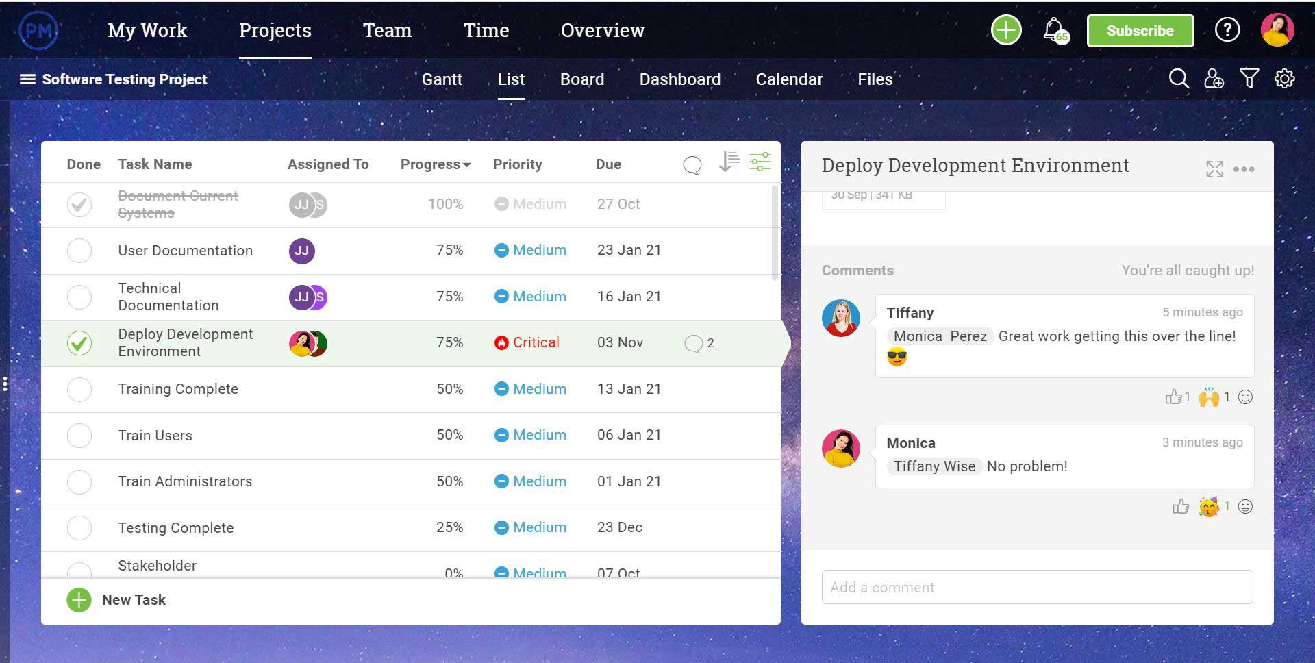 List view of project with comments added by team members