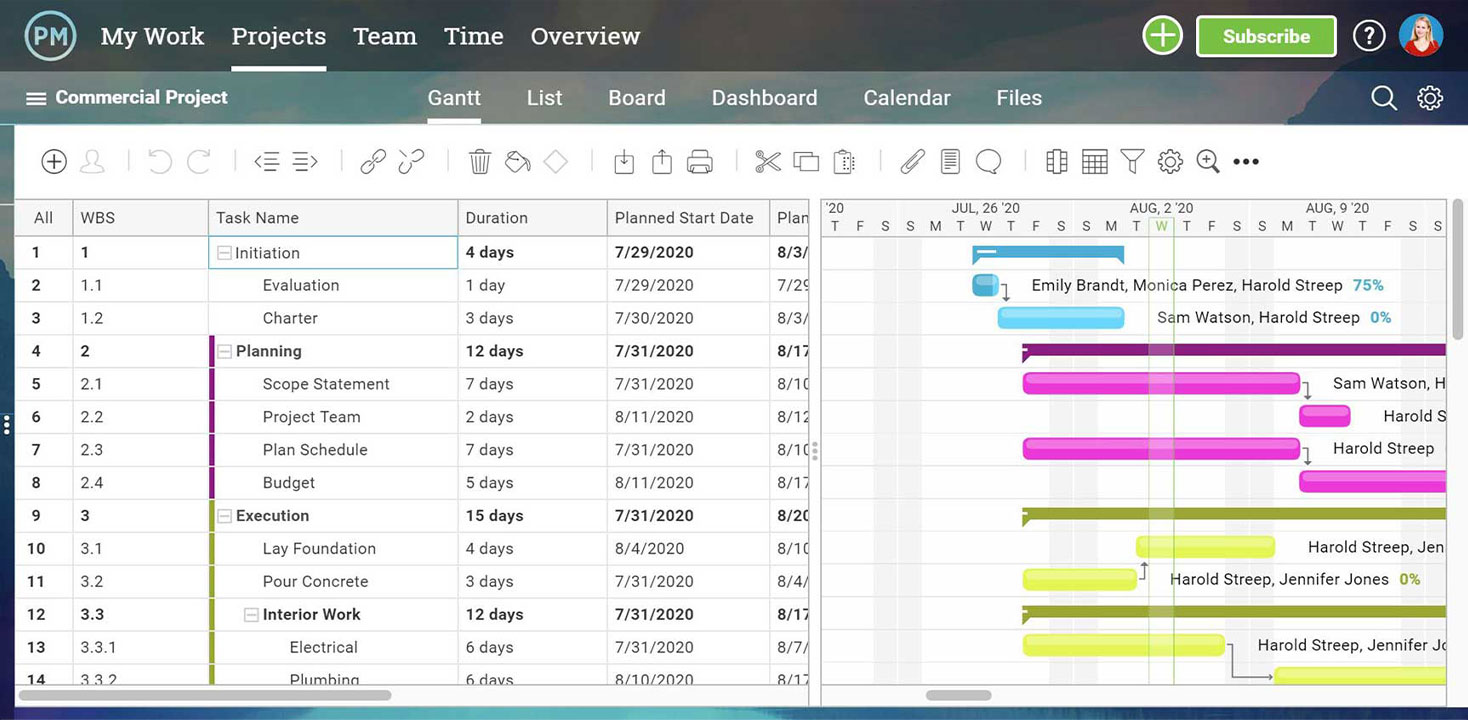 A screenshot of ProjectManager.com’s gantt chart view